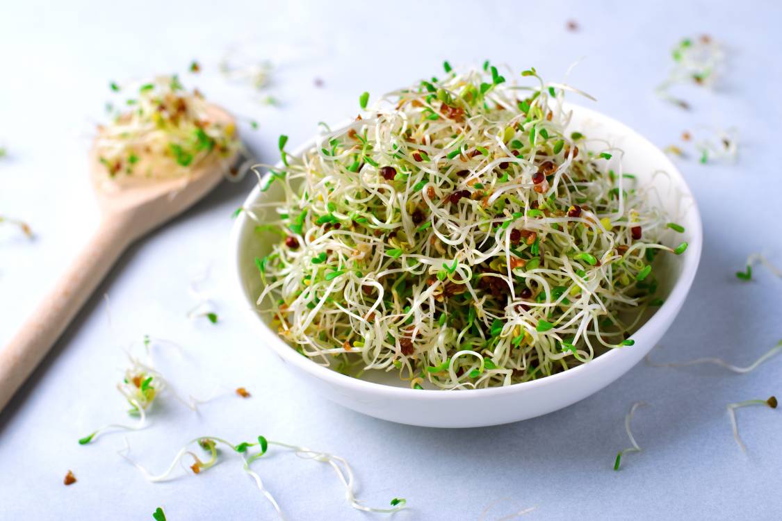 Broccoli – Groddar & mikroblad