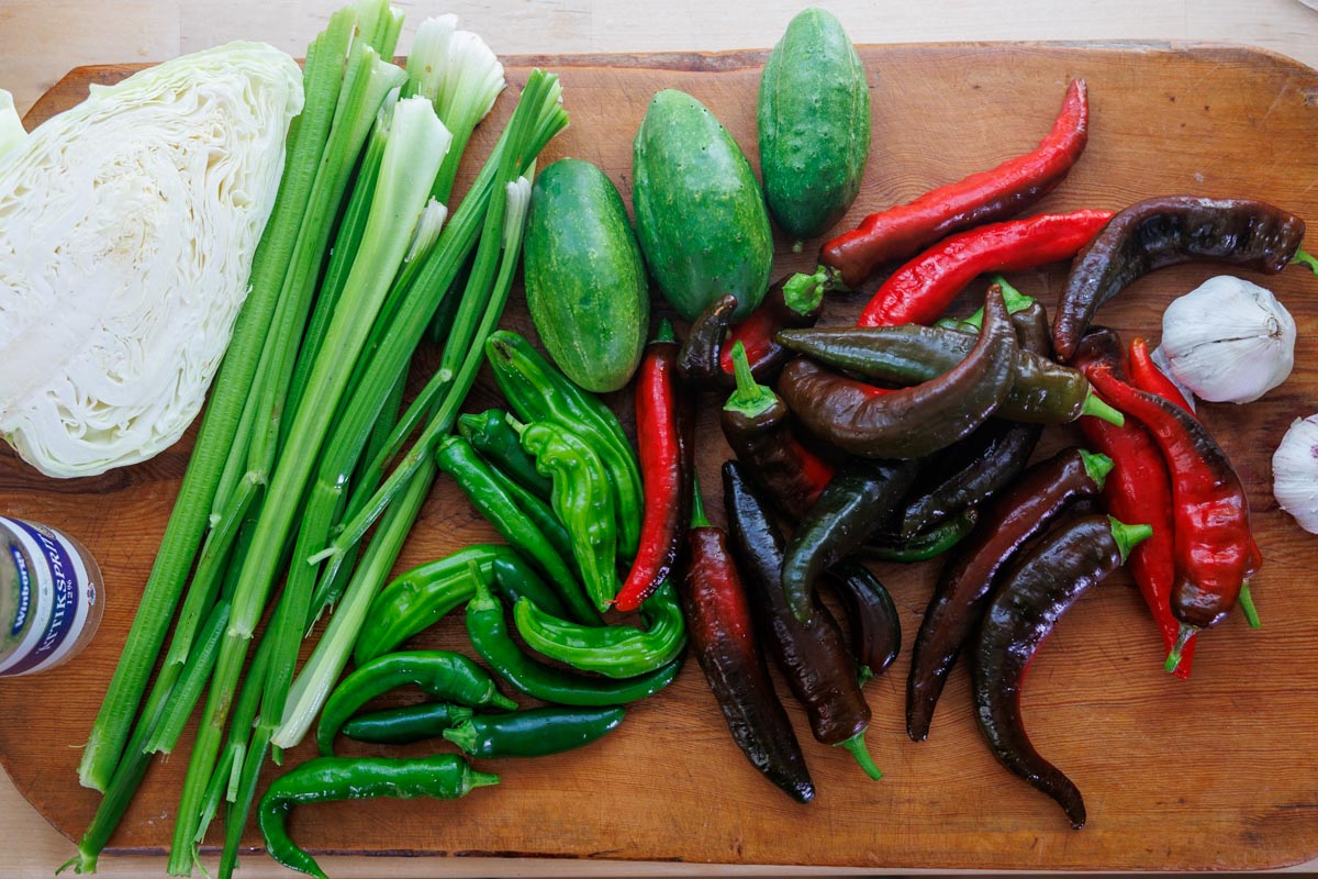 Välj bra råvaror när du gör inläggningar - bild på paprika, selleri, chili och vitkål