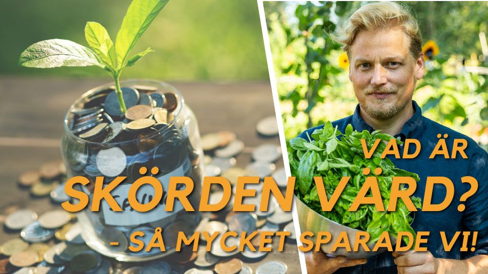 Vad är skörden värd? - så mycket sparade vi!