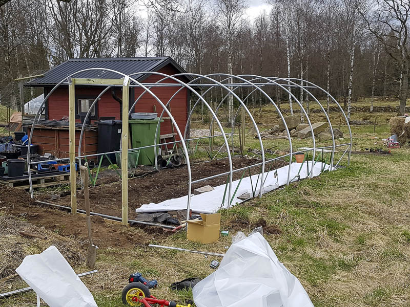 Litet tunnelväxthus av annat fabrikat 3x6m som vi uppgraderar med dörrar av trä och ny plast - bilden visar att dörr-ramen är på plats