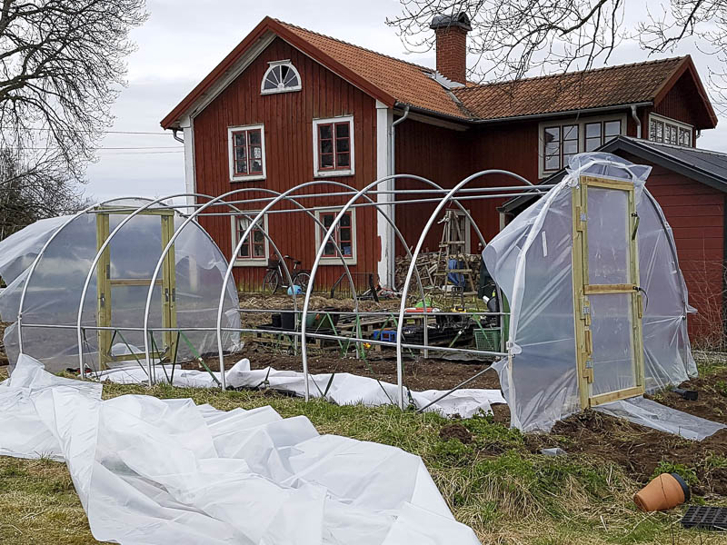 Litet tunnelväxthus av annat fabrikat 3x6m som vi uppgraderar med dörrar av trä och ny plast - Bilden visar att gavelplasten är på plats och nästa steg är takplasten. Den här stommen har 25mm rör så bågklämma 25mm passar för monteringen
