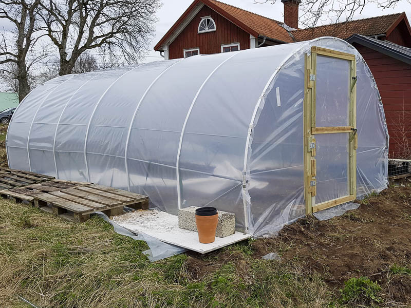 Litet tunnelväxthus av annat fabrikat 3x6m som vi uppgraderar med dörrar av trä och ny plast - Plasten är färdigmonterad på båge tak och gavlar