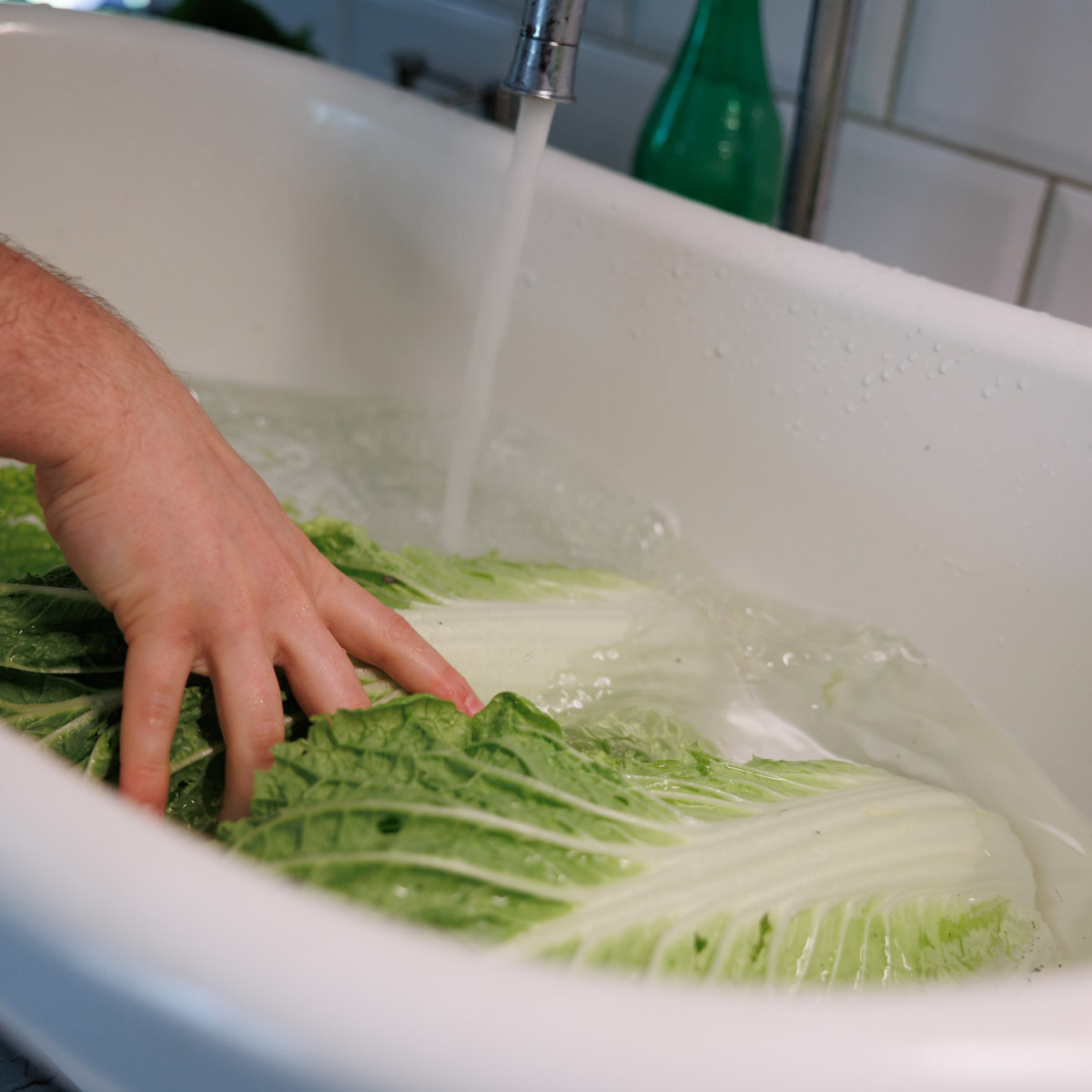 Salladskål sköljs inomhus i en stor balja