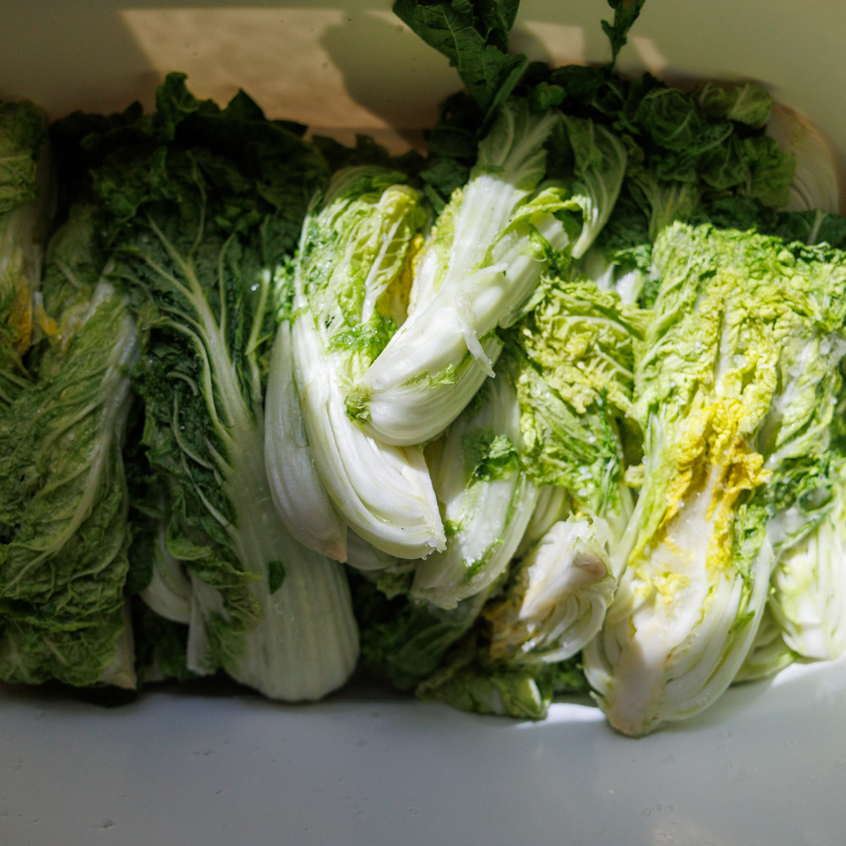 Salladskål efter tre timmars saltning