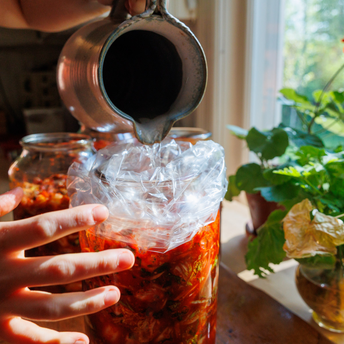 Plastpåse ovanpå kimchi fylls med vatten