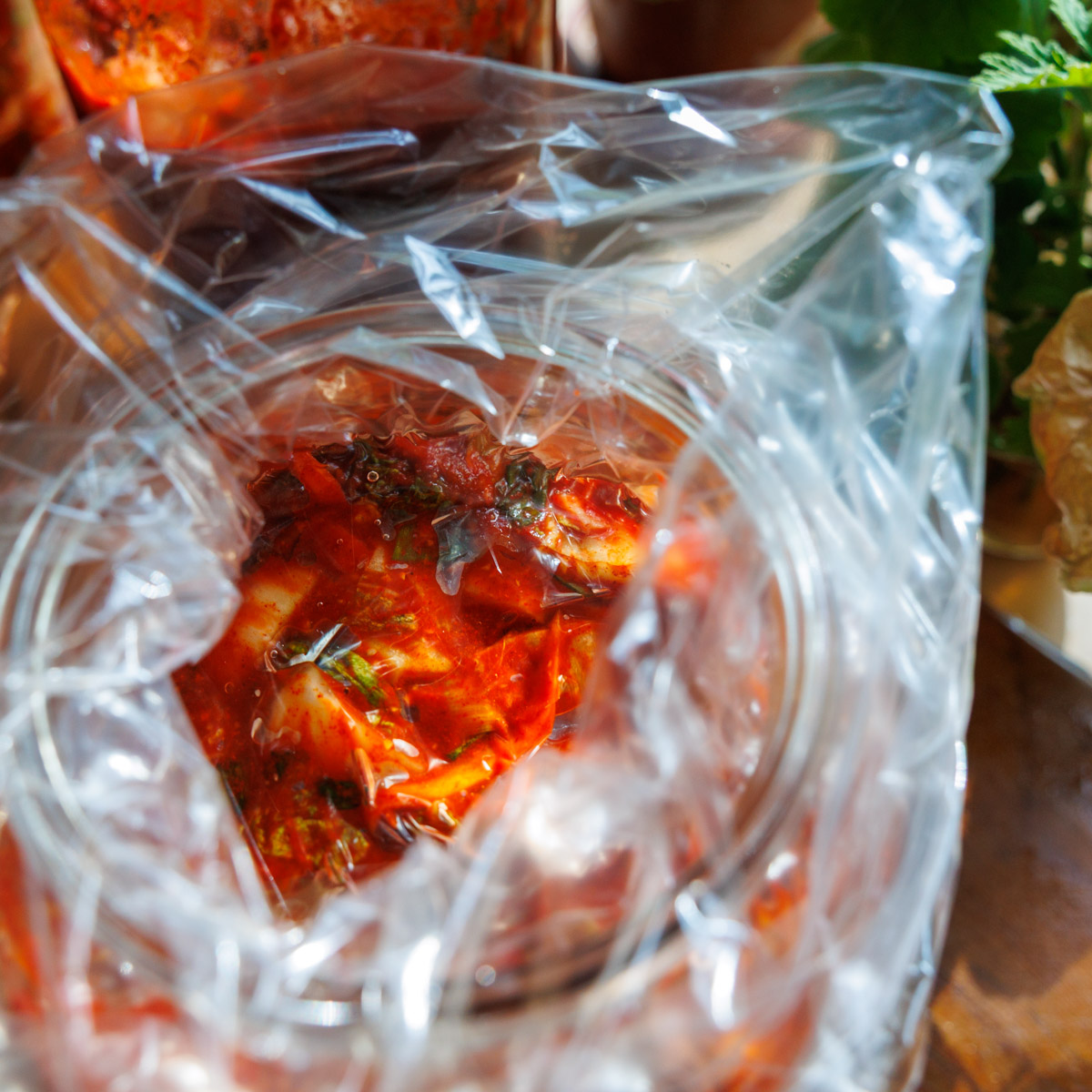 Närbild på vattenfylld plastpåse som pressar ner kimchi