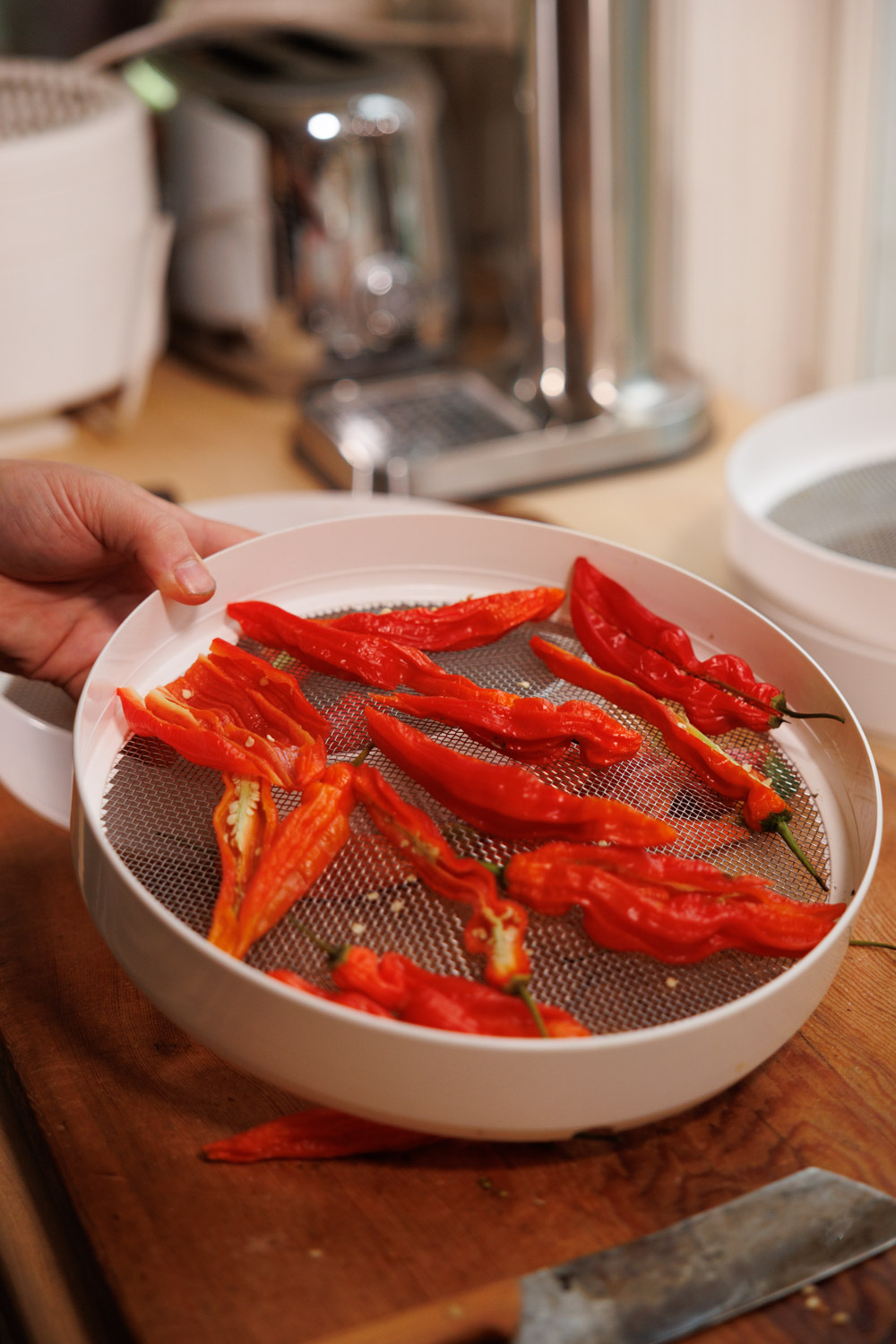 Torkade chilifrukter på en Evermat torkapparat.