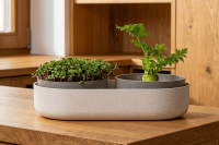 Microgreens + Regrow Komplett Startkit