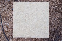 tradring-hampa-2