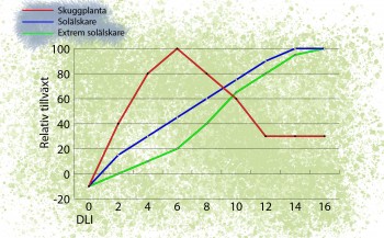DLI graf2